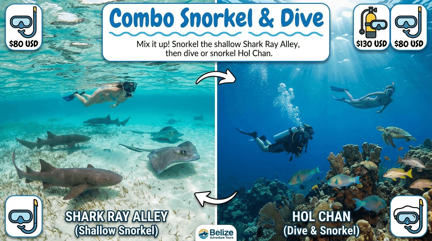 Combo Snorkel & Dive — Shark Ray + Hol Chan