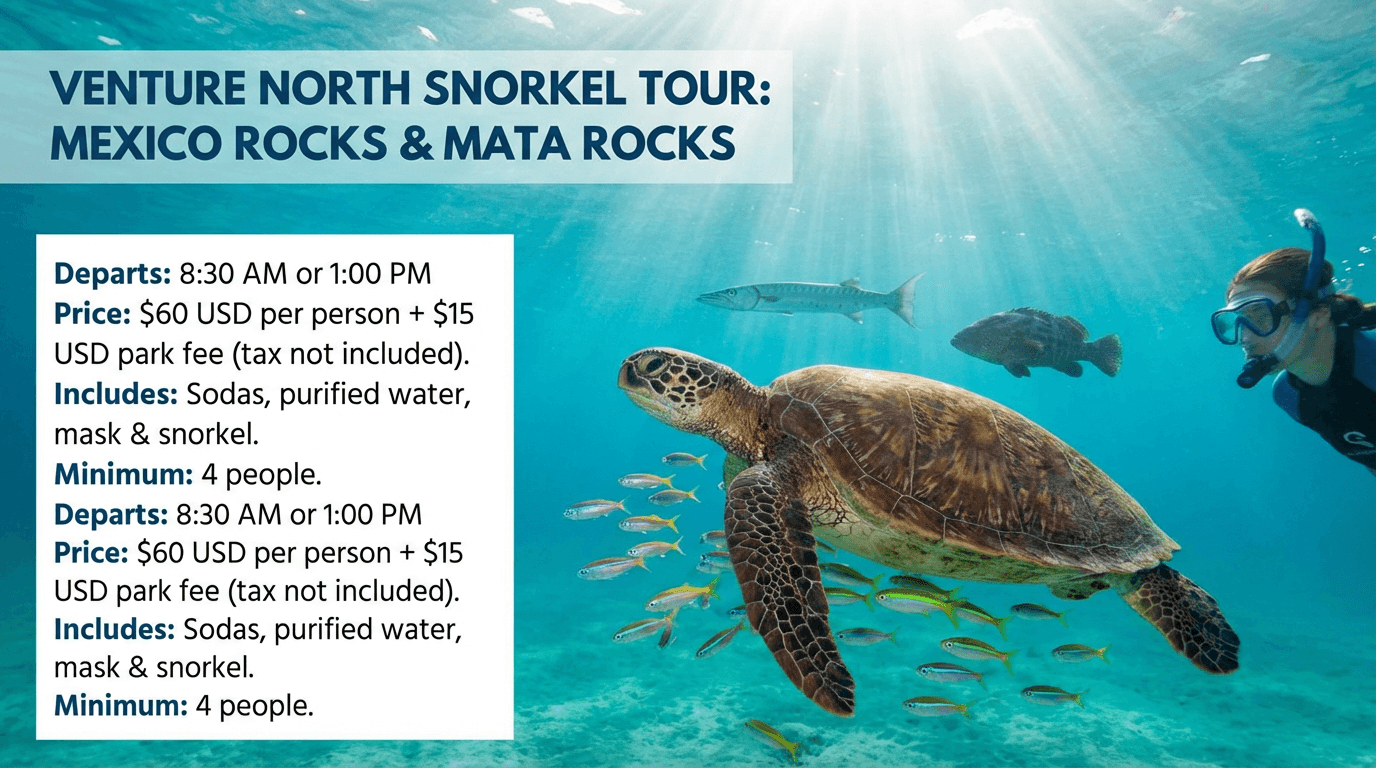 Half-Day Mexico Rocks Snorkeling
