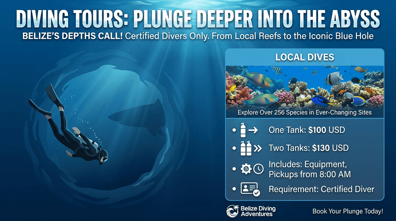 Local Reef Diving – One or Two Tanks in San Pedro, Ambergris Caye
