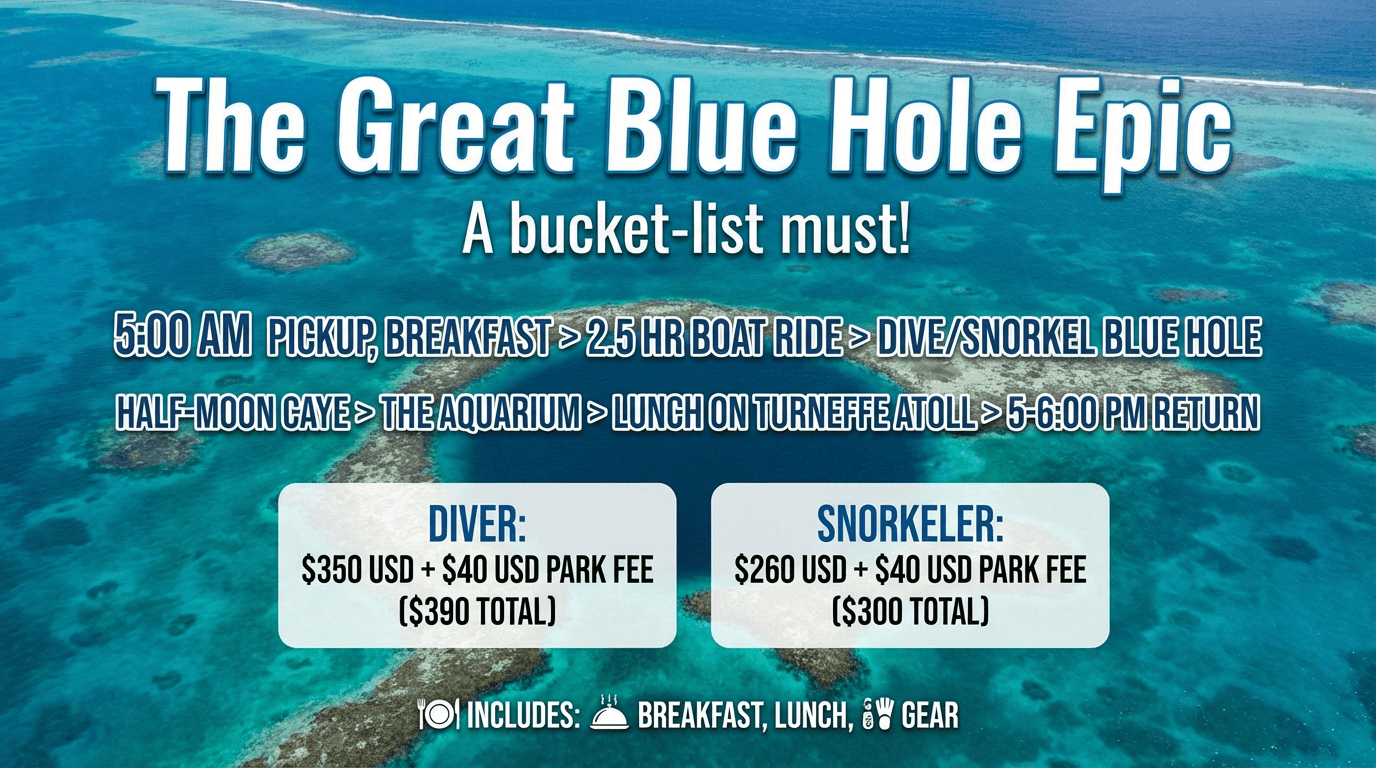The Great Blue Hole — Epic Full-Day Dive in San Pedro, Ambergris Caye
